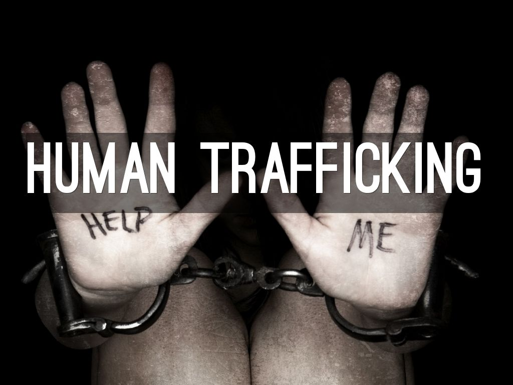 Developing Better Indicators Of Human Trafficking at Howard Conley blog